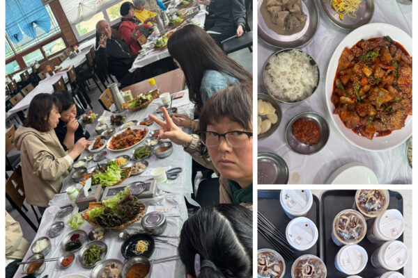 개성 2,3반 고창 학원농장 [주간활동센터]