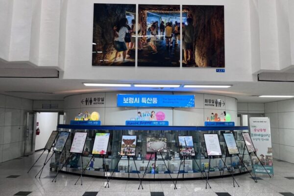 제28회 충남동행문화예술마당 3차 작품전시회(보령시청) [광역협업팀]